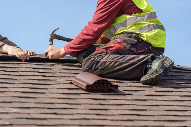 Best Metal Roofing Contractor  in Leon, IA